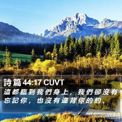 詩 篇 44:17 CUVT Bible Verse Image