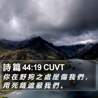 詩 篇 44:19 CUVT Bible Verse Image
