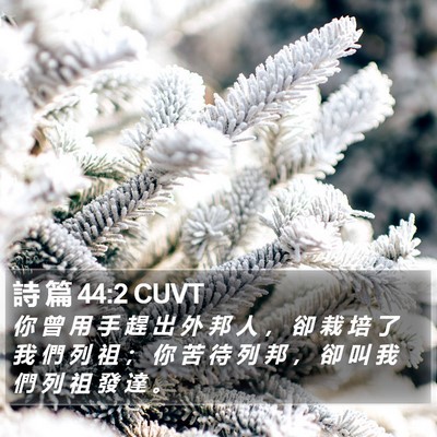 詩 篇 44:2 CUVT Bible Verse Image