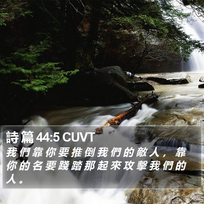 詩 篇 44:5 CUVT Bible Verse Image