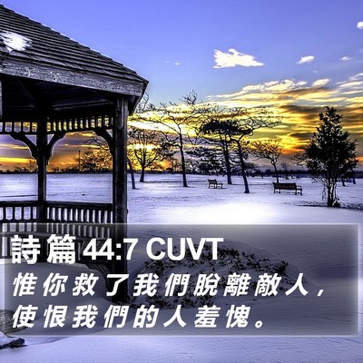 詩 篇 44:7 CUVT Bible Verse Image