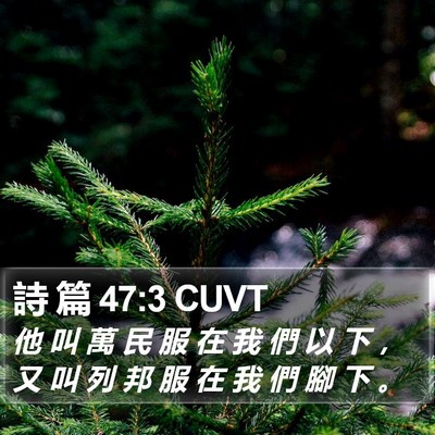 詩 篇 47:3 CUVT Bible Verse Image