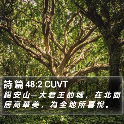 詩 篇 48:2 CUVT Bible Verse Image