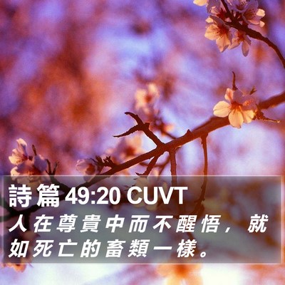 詩 篇 49:20 CUVT Bible Verse Image