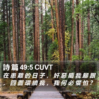 詩 篇 49:5 CUVT Bible Verse Image