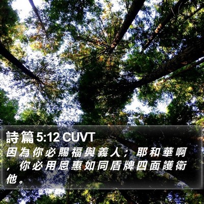 詩 篇 5:12 CUVT Bible Verse Image