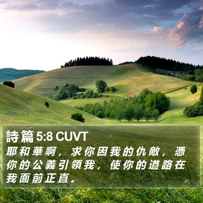 詩 篇 5:8 CUVT Bible Verse Image