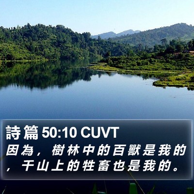 詩 篇 50:10 CUVT Bible Verse Image