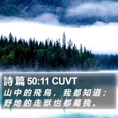 詩 篇 50:11 CUVT Bible Verse Image