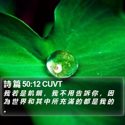 詩 篇 50:12 CUVT Bible Verse Image