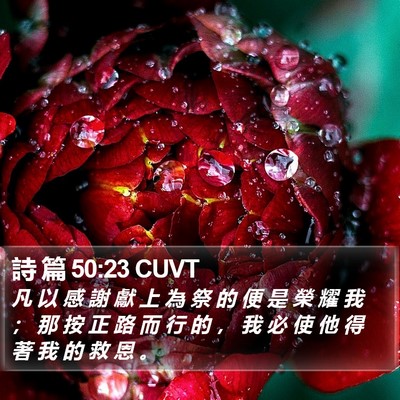 詩 篇 50:23 CUVT Bible Verse Image