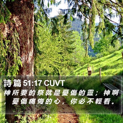 詩 篇 51:17 CUVT Bible Verse Image