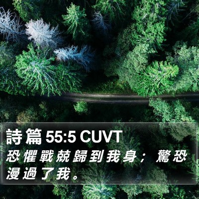 詩 篇 55:5 CUVT Bible Verse Image