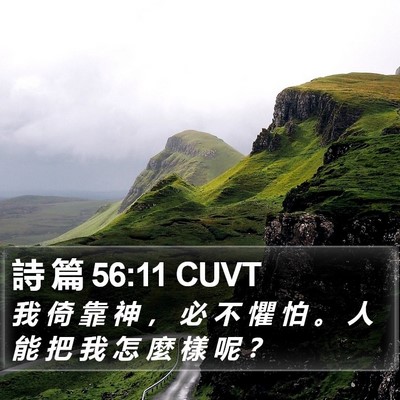 詩 篇 56:11 CUVT Bible Verse Image