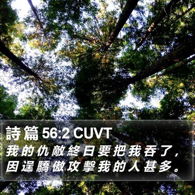 詩 篇 56:2 CUVT Bible Verse Image