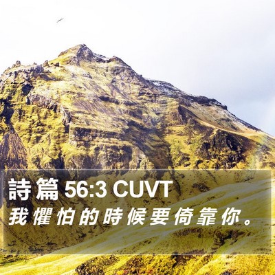 詩 篇 56:3 CUVT Bible Verse Image
