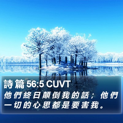詩 篇 56:5 CUVT Bible Verse Image