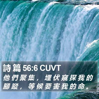 詩 篇 56:6 CUVT Bible Verse Image