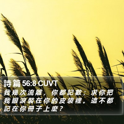 詩 篇 56:8 CUVT Bible Verse Image