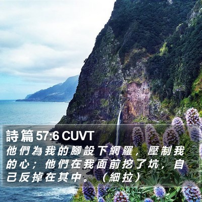 詩 篇 57:6 CUVT Bible Verse Image