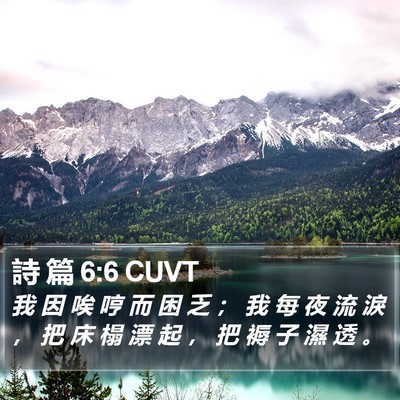詩 篇 6:6 CUVT Bible Verse Image