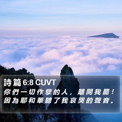 詩 篇 6:8 CUVT Bible Verse Image