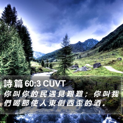 詩 篇 60:3 CUVT Bible Verse Image