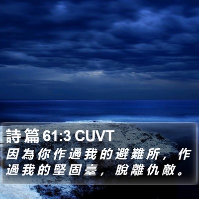 詩 篇 61:3 CUVT Bible Verse Image