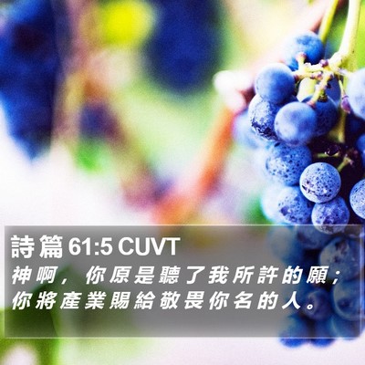 詩 篇 61:5 CUVT Bible Verse Image