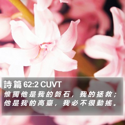 詩 篇 62:2 CUVT Bible Verse Image