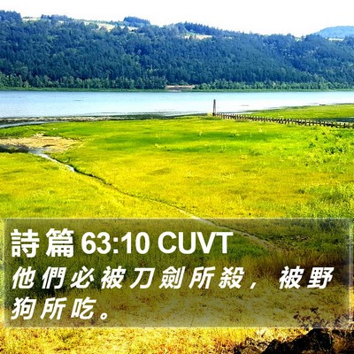 詩 篇 63:10 CUVT Bible Verse Image