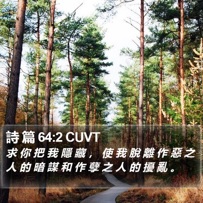 詩 篇 64:2 CUVT Bible Verse Image