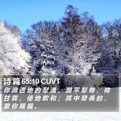 詩 篇 65:10 CUVT Bible Verse Image