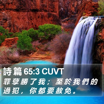 詩 篇 65:3 CUVT Bible Verse Image