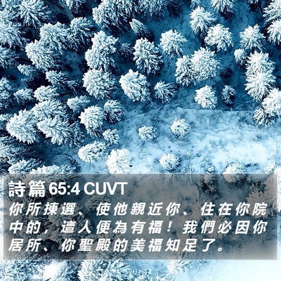 詩 篇 65:4 CUVT Bible Verse Image