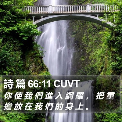 詩 篇 66:11 CUVT Bible Verse Image