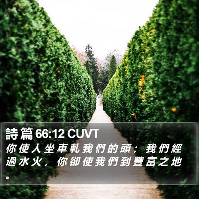 詩 篇 66:12 CUVT Bible Verse Image