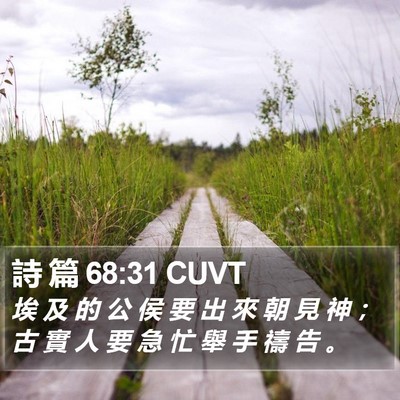 詩 篇 68:31 CUVT Bible Verse Image