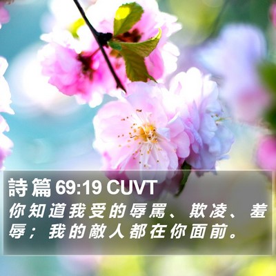 詩 篇 69:19 CUVT Bible Verse Image