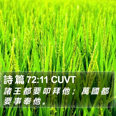 詩 篇 72:11 CUVT Bible Verse Image