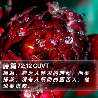 詩 篇 72:12 CUVT Bible Verse Image