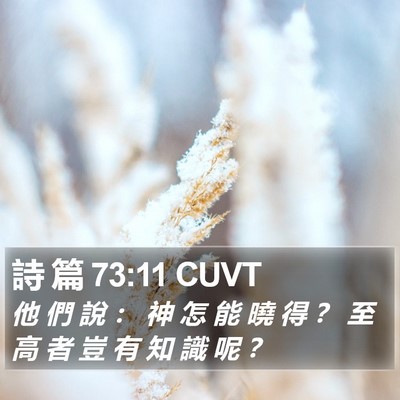 詩 篇 73:11 CUVT Bible Verse Image