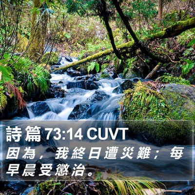 詩 篇 73:14 CUVT Bible Verse Image
