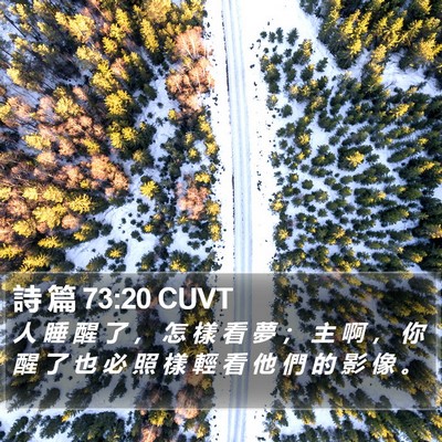 詩 篇 73:20 CUVT Bible Verse Image