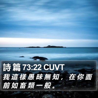 詩 篇 73:22 CUVT Bible Verse Image