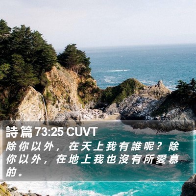 詩 篇 73:25 CUVT Bible Verse Image