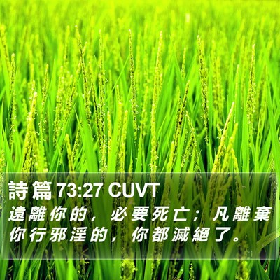 詩 篇 73:27 CUVT Bible Verse Image