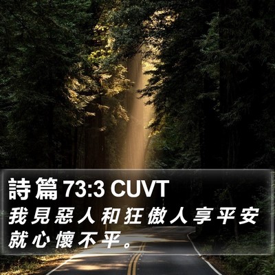 詩 篇 73:3 CUVT Bible Verse Image