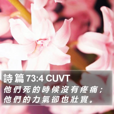 詩 篇 73:4 CUVT Bible Verse Image