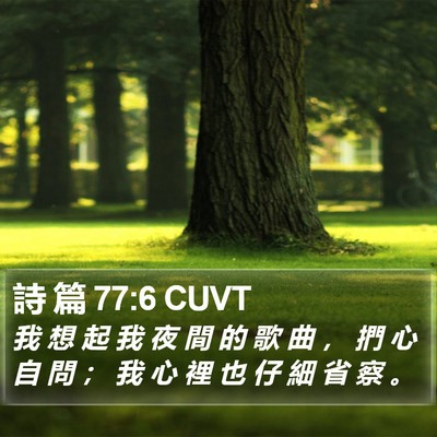 詩 篇 77:6 CUVT Bible Verse Image